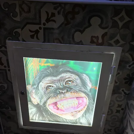 Il Vano Della Scimmia Aeroporto Catania