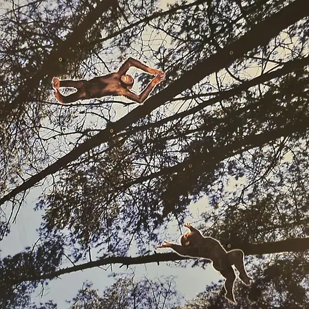 Il Vano Della Scimmia Aeroporto Apartman