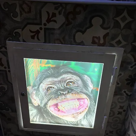 Il Vano Della Scimmia Aeroporto Apartman *